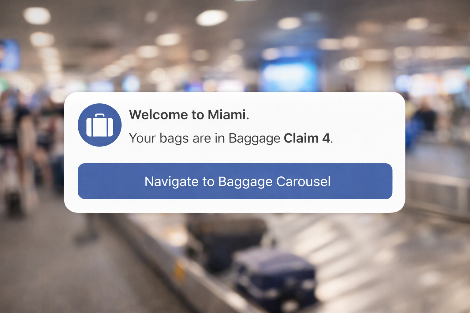 Baggage claim and ground transportation
